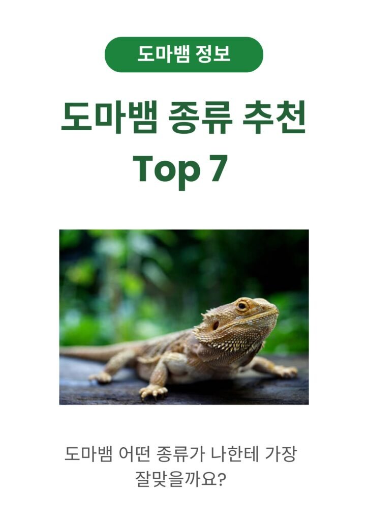도마뱀 종류