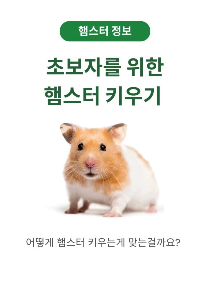 햄스터 키우기