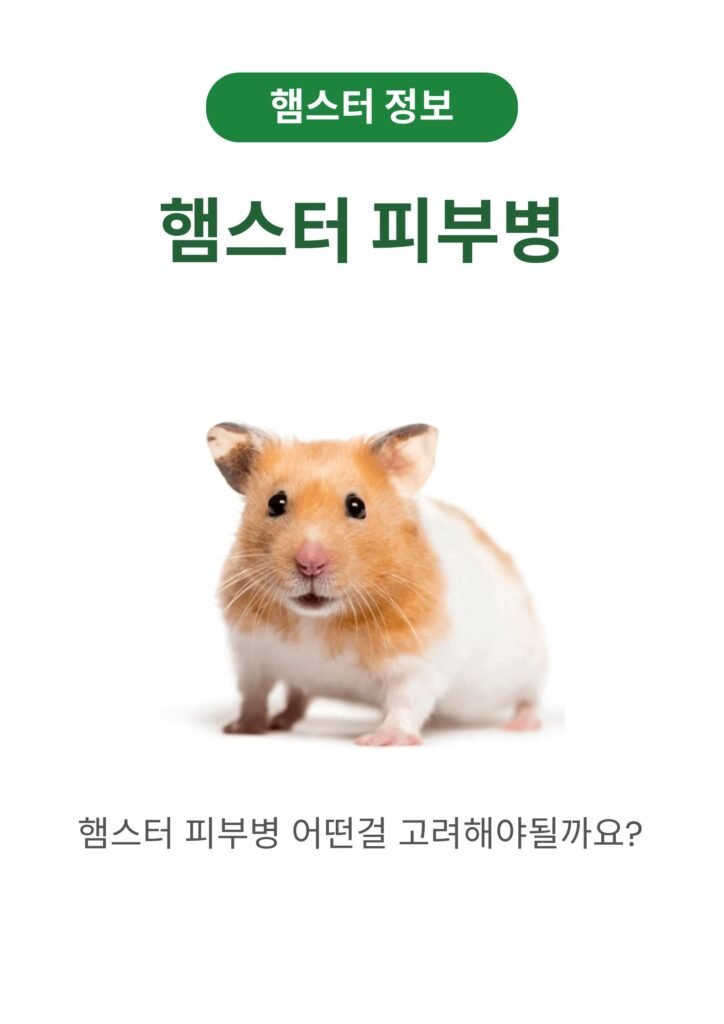 햄스터 피부병